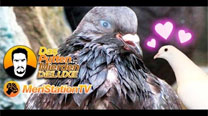 Das Putten Mierden Deluxe 2x11 Hatoful Boyfriend